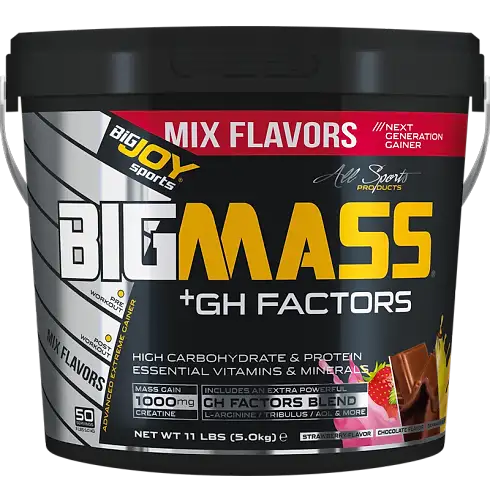 BİGJOY GH MASS 5 KG MİX