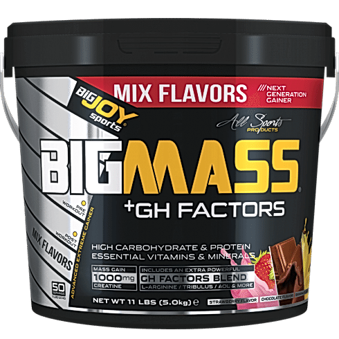 BİGJOY GH MASS 5 KG MİX
