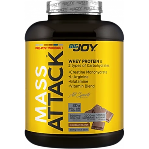 Bigjoy Sports Mass Attack 3000gr